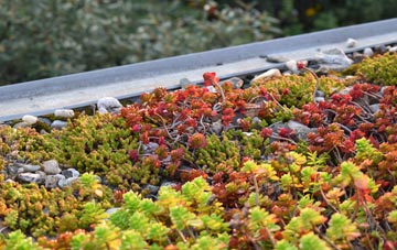 the cost of Padson green roof installation