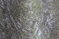 Padson fibreglass roof work